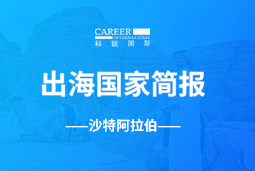 USDT钱包GO GLOBAL | 沙特阿拉伯国家简报